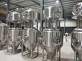 Beer fermentation tank unitank beer equipment