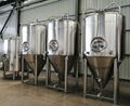Beer fermentation tank unitank beer equipment