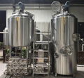 Craft Brewery Equipment/ Pub 500L beer brewing system 7