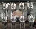 Craft Brewery Equipment/ Pub 500L beer brewing system