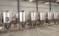 Craft beer equipment 500L per batch, microbrewery brewhouse