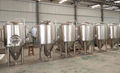 Beer brewing equipment 