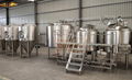 Microbrewery, turnkey beer brewing system