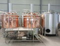 6bbl Gas fired brewery system, beer brewing equipment 2