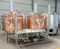 6bbl Gas fired brewery system, beer brewing equipment 1