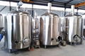 6bbl Gas fired brewery system, beer brewing equipment 4