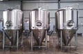 6bbl Gas fired brewery system, beer brewing equipment 6