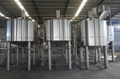 50HL brewery system, brewhouse beer production plant