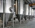 50HL brewery system, brewhouse beer production plant 5