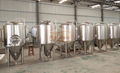 500L, 5bbl beer fermentation tank