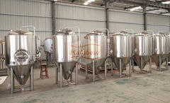 500L, 5bbl beer fermentation tank/unitanks, bright beer tank