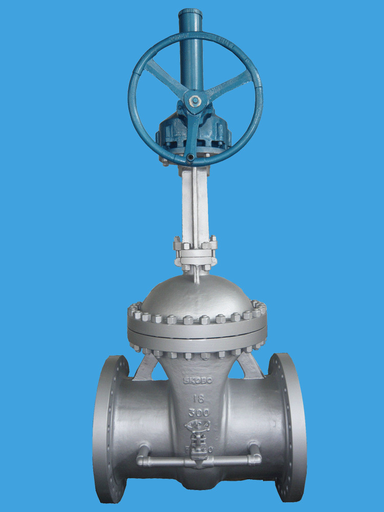 Shanghai Kobo Valve & Fitting Co.,LTD. (China Manufacturer) Company