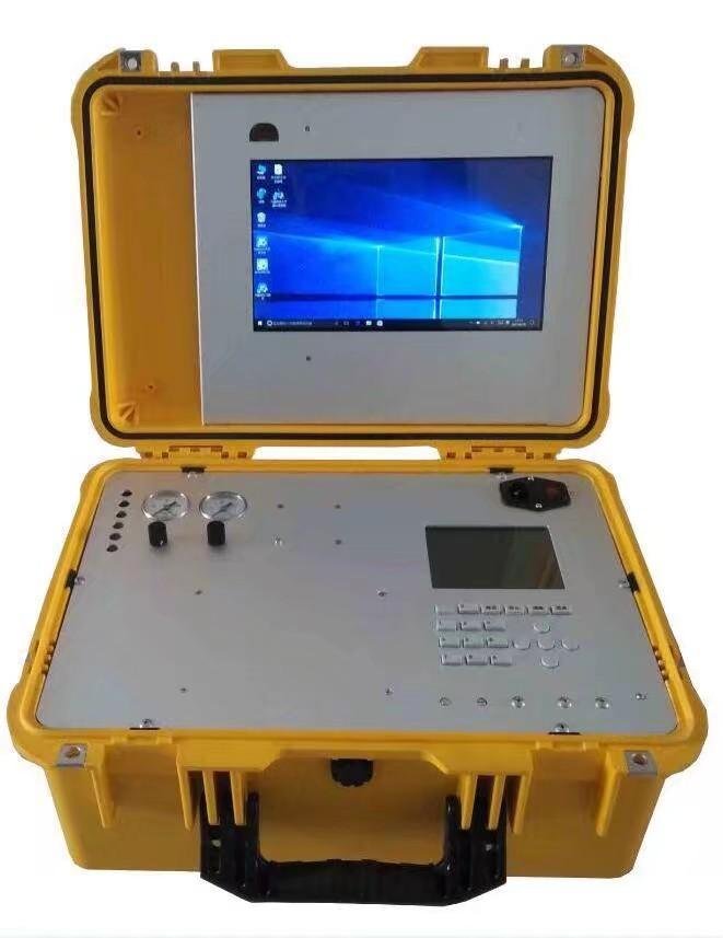 便携式天然气分析仪DPS-8100