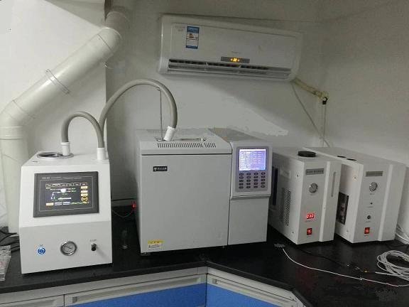 气相色谱仪价格GC-7900，口罩环氧乙烷残留检测 4