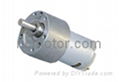 12V 24V reduction Gearbox motor