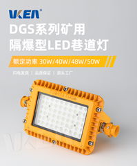 DGS series mining explosion-proof LED roadway light