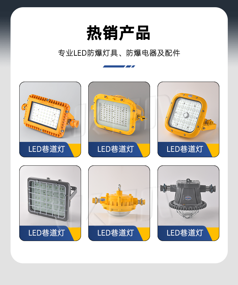 DGS30/127L系列矿用隔爆型LED巷道灯 2