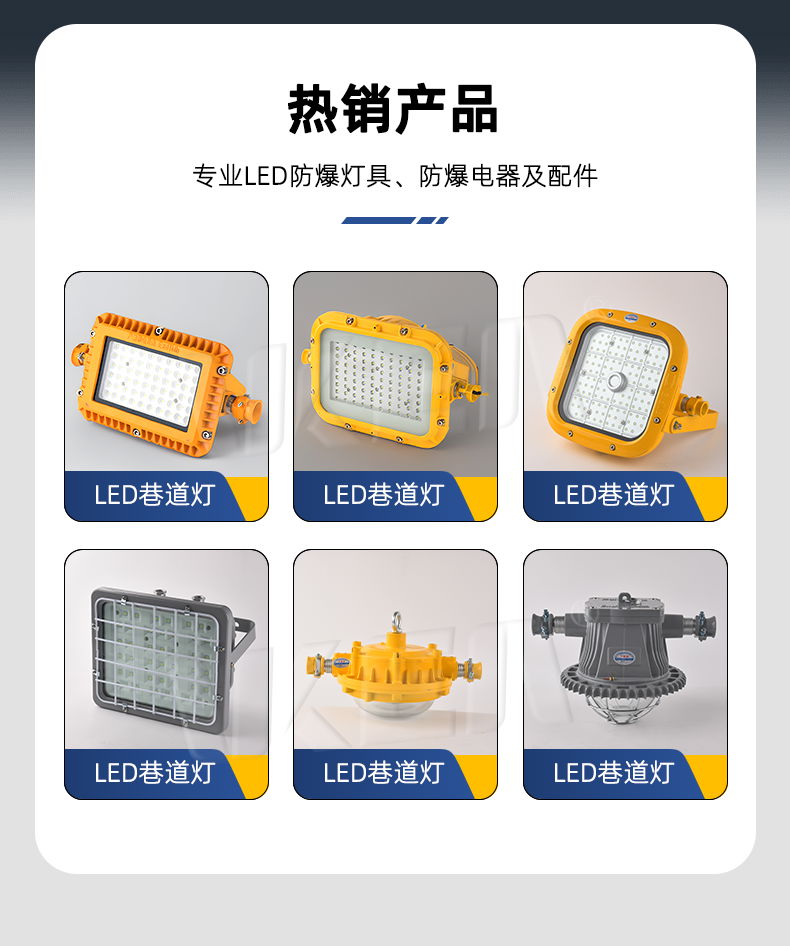 DGS30/127L系列礦用隔爆型LED巷道燈 2