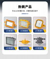 DGS series mining explosion-proof LED roadway light 2