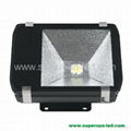 100W High Power LED Floodlight