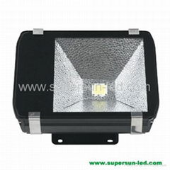 100W High Power LED Floodlight