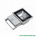 80W High Power LED Floodlight