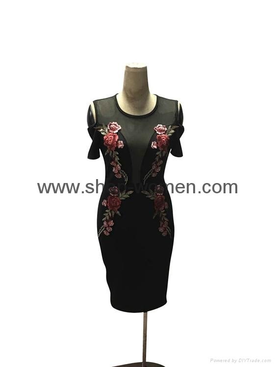 Embroidery Cold Shoulder Mesh Insert Bodycon Dress 3