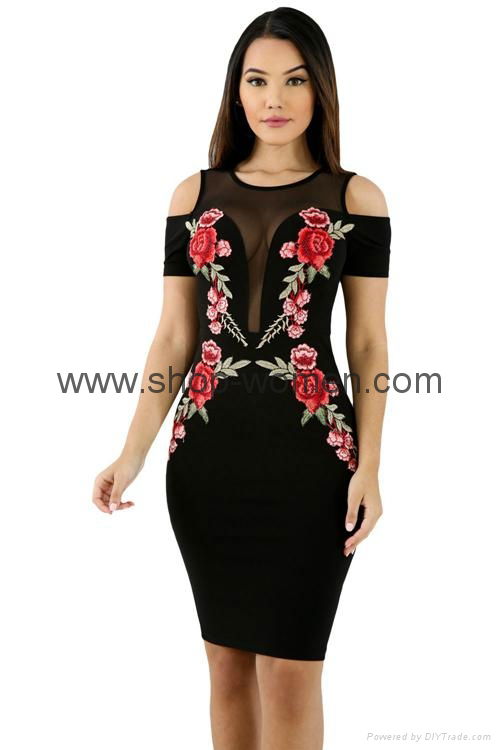 Embroidery Cold Shoulder Mesh Insert Bodycon Dress