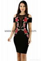 Embroidery Cold Shoulder Mesh Insert Bodycon Dress 1