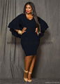 Women's Plus Size Cape Dress 3