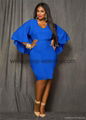 Women's Plus Size Cape Dress 5