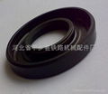 骨架油封Oil seal 1