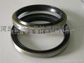 骨架油封Oil seal 4