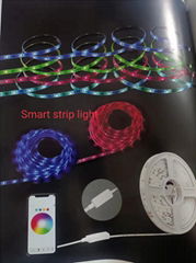 smart strip light