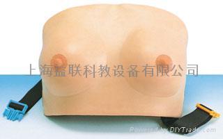 乳房自檢模型