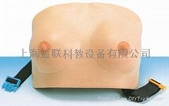 乳房自检模型