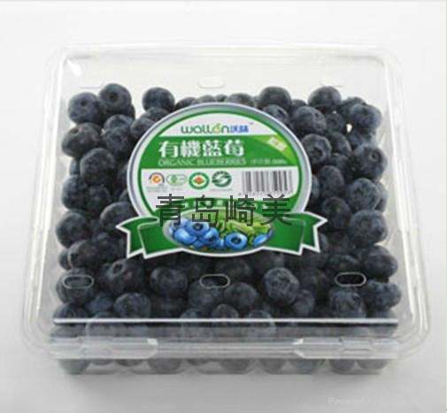 Blueberry Plastic Packing Container