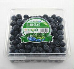 Blueberry Plastic Packing Container