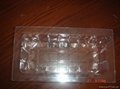 Disposable PP Blister Plastic Food Container Tray 4