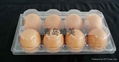 Disposable PVC Blister Plastic Egg Container Clamshell Box 4