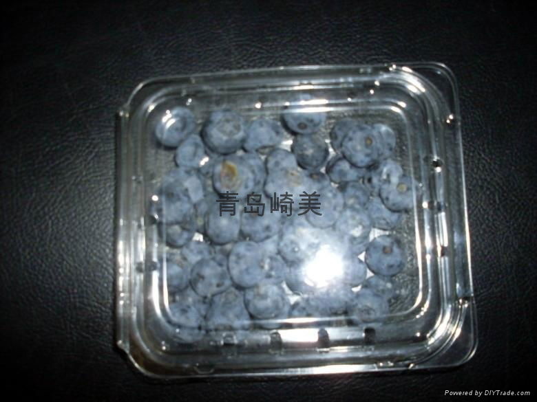 Blueberry Plastic Packing Container 2