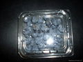 藍莓包裝盒 2