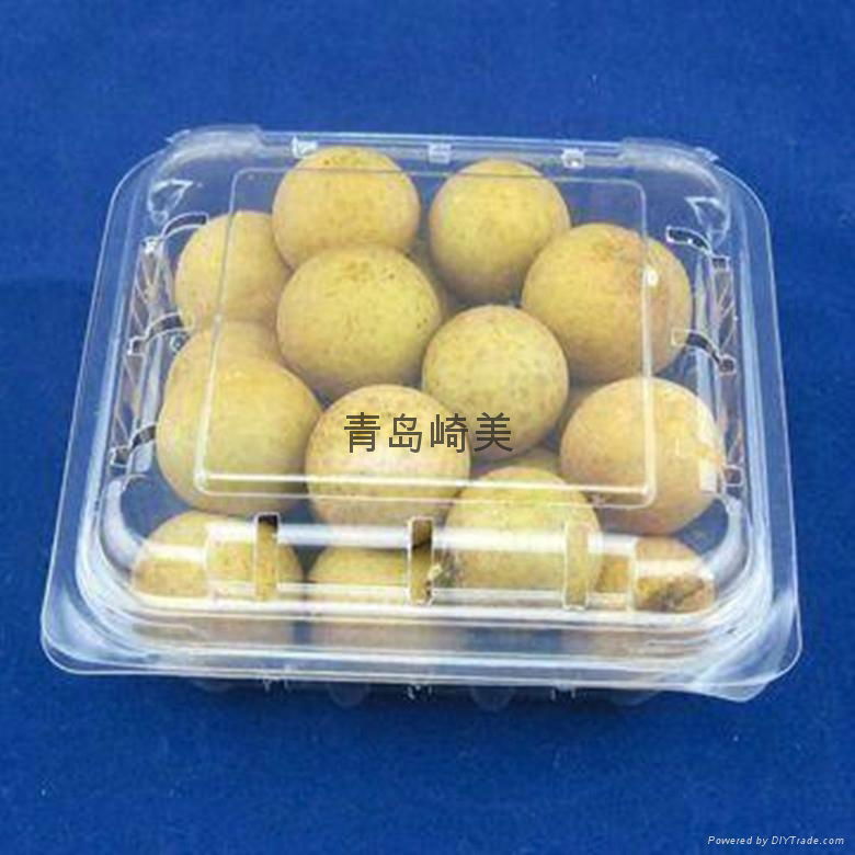 Blueberry Plastic Packing Container 3