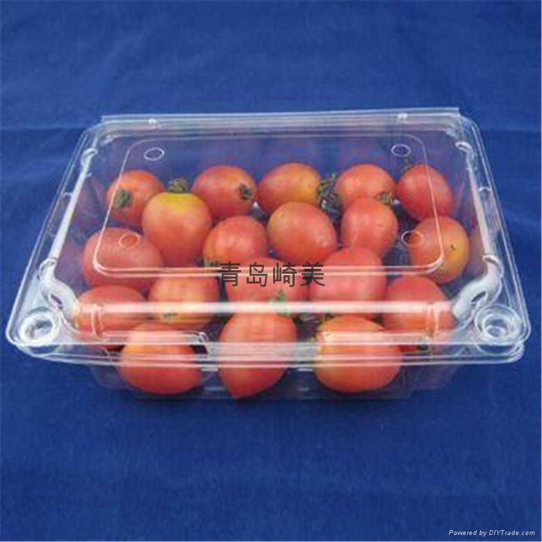 Blueberry Plastic Packing Container 4