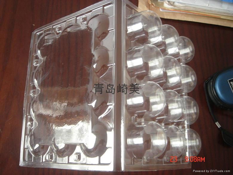 Blueberry Plastic Packing Container 5