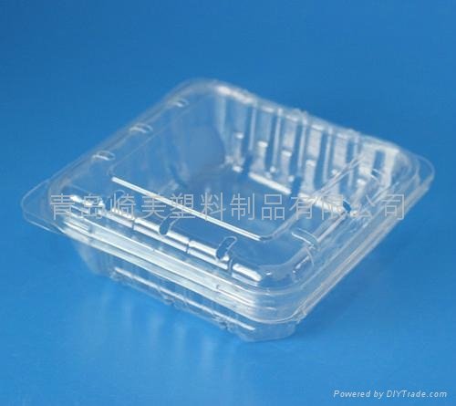 PET Plastic Box 3