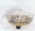 blister plastic flytrap fly-catcher 5