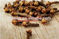 Natural clove bud oil in bulk price 2