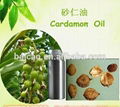 Natural plant essential oil Cardamon Oil