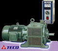 Teco Yi moving eddy current motor 2